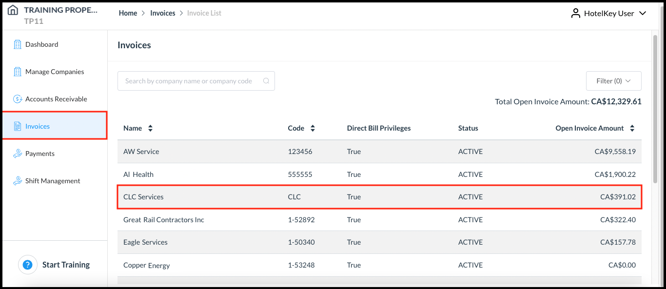 Company Invoices Details